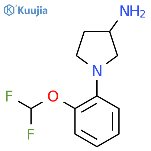 1-[2-(difluoromethoxy)phenyl]pyrrolidin-3-amine structure