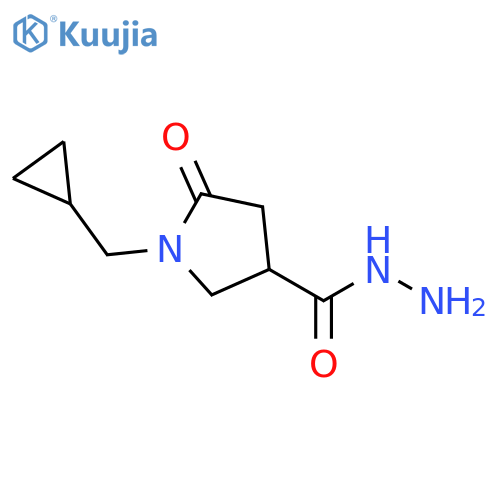 1-(cyclopropylmethyl)-5-oxopyrrolidine-3-carbohydrazide structure