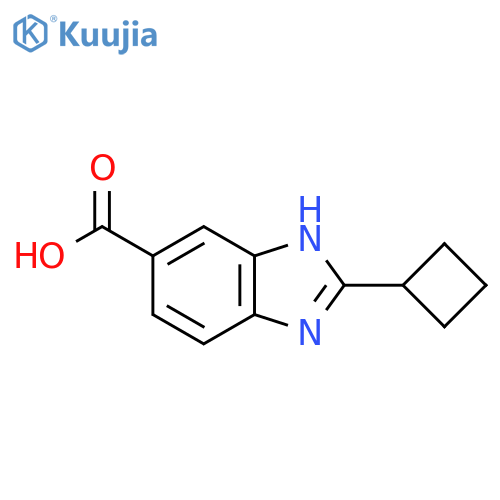2-cyclobutyl-1H-benzo[d]imidazole-5-carboxylic acid structure