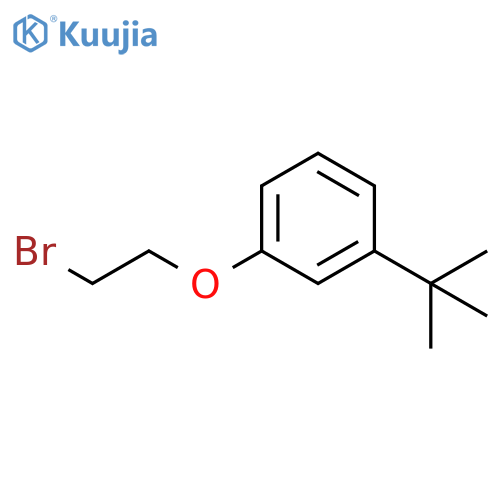 1-(2-bromoethoxy)-3-tert-butylbenzene structure