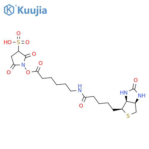 Hexanoic acid,6-[[5-(hexahydro-2-oxo-1H-thieno[3,4-d]imidazol-4-yl)-1-oxopentyl]amino]-,2,5-dioxo-3-sulfo-1-pyrrolidinyl ester structure