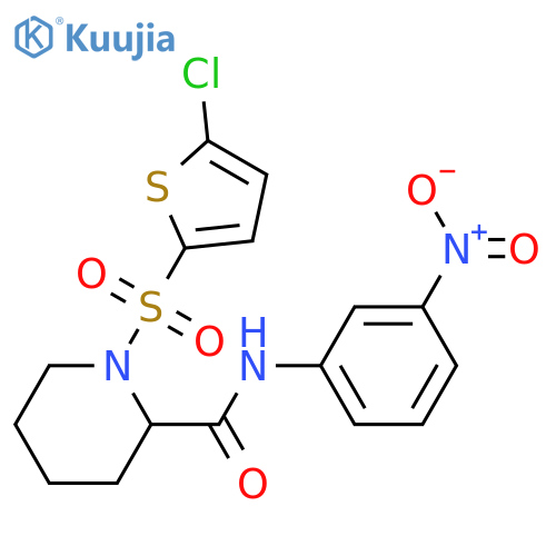 1-(5-chlorothiophen-2-yl)sulfonyl-N-(3-nitrophenyl)piperidine-2-carboxamide structure