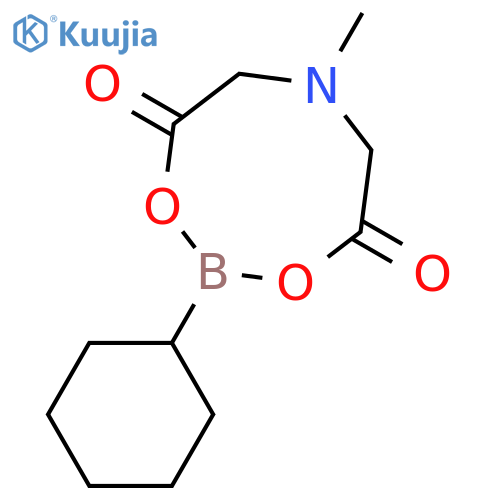 Cyclohexylboronic acid MIDA ester structure