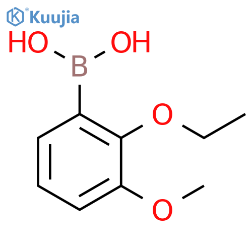 (2-ethoxy-3-methoxyphenyl)boronic acid structure