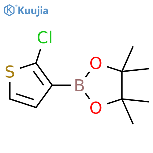 2-(2-chlorothiophen-3-yl)-4,4,5,5-tetramethyl-1,3,2-dioxaborolane structure