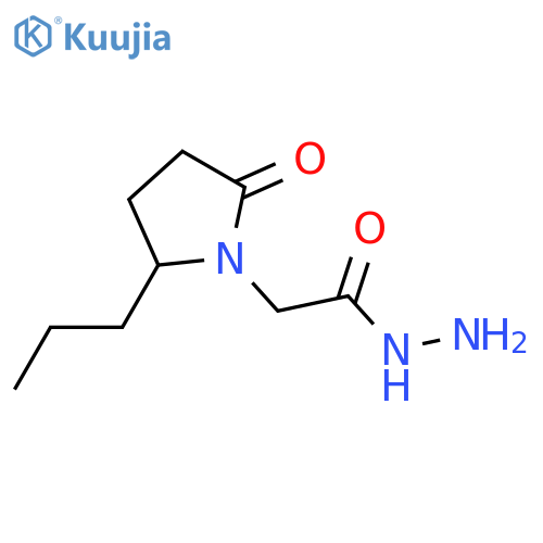 1-Pyrrolidineacetic acid, 2-oxo-5-propyl-, hydrazide structure