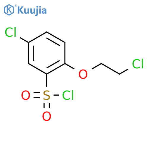 5-chloro-2-(2-chloroethoxy)benzenesulfonyl chloride structure