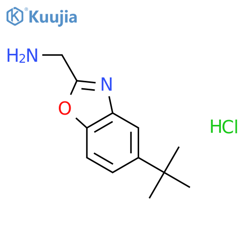 (5-tert-butyl-1,3-benzoxazol-2-yl)methylamine hydrochloride structure
