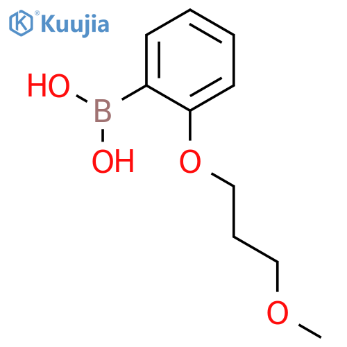 2-(3-Methoxypropoxy)phenylboronic acid structure