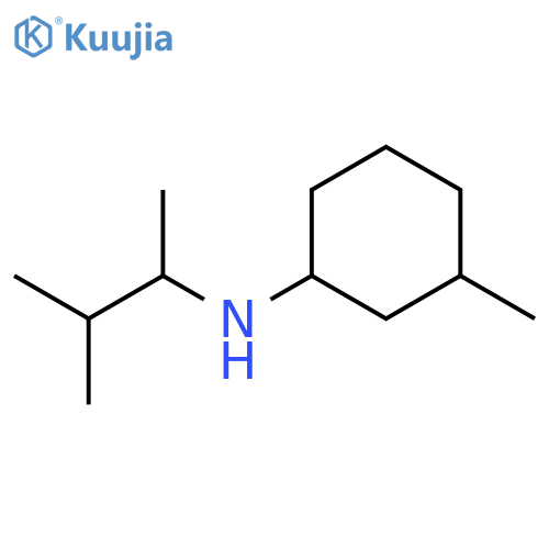 3-methyl-N-(3-methylbutan-2-yl)cyclohexan-1-amine structure