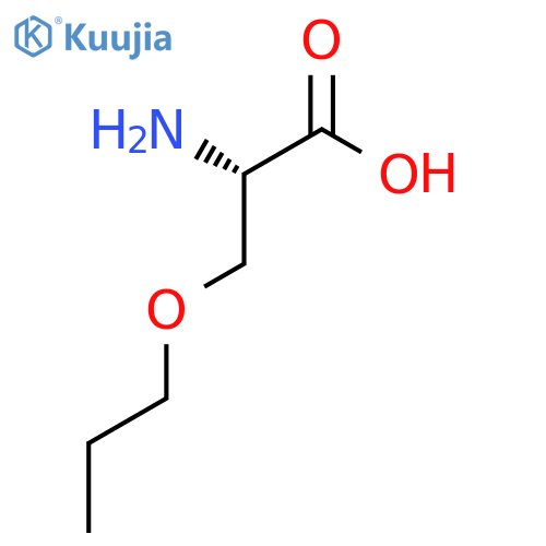 (2S)-2-amino-3-propoxypropanoic acid structure