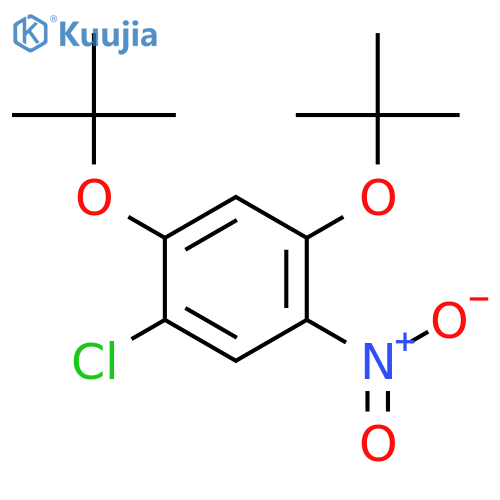 Benzene, 1-chloro-2,4-bis(1,1-dimethylethoxy)-5-nitro- structure