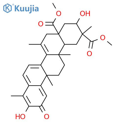 Netzahualcoyol structure