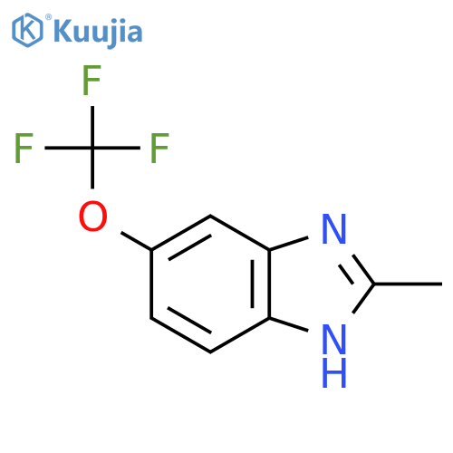 2-Methyl-5-(trifluoromethoxy)benzoimidazole structure