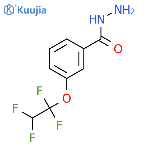 3-(1,1,2,2-Tetrafluoroethoxy)benzohydrazide structure