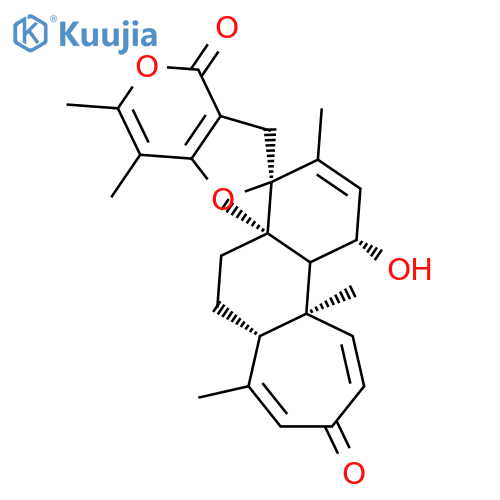 brevione F structure