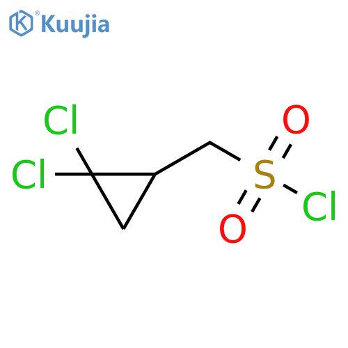(2,2-dichlorocyclopropyl)methanesulfonyl chloride structure