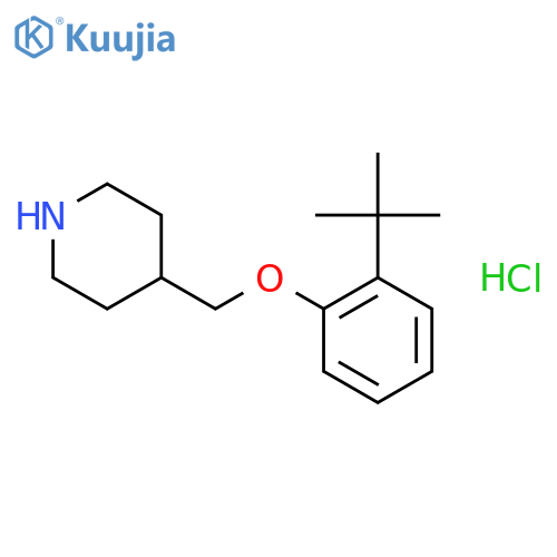 2-(tert-Butyl)phenyl 4-piperidinylmethyl etherhydrochloride structure