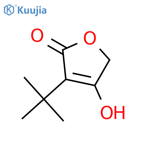 3-Tert-butyl-4-hydroxyfuran-2(5H)-one structure