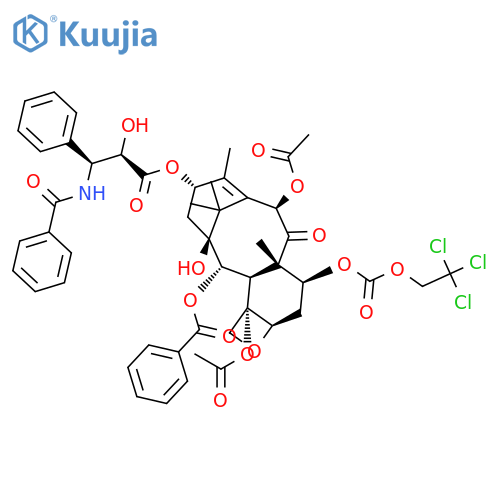 7-{(2,2,2,-Trichloroethyl)oxycarbonyl} Paclitaxel structure