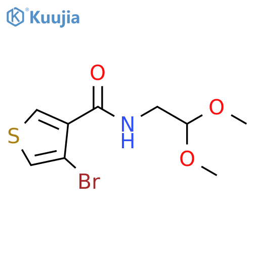 3-Thiophenecarboxamide, 4-bromo-N-(2,2-dimethoxyethyl)- structure