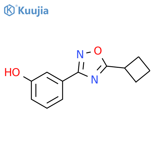 3-(5-cyclobutyl-1,2,4-oxadiazol-3-yl)phenol structure