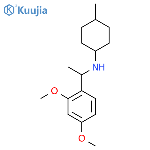N-1-(2,4-Dimethoxyphenyl)ethyl-4-methylcyclohexan-1-amine structure