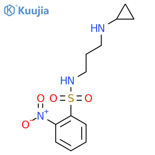 N-3-(cyclopropylamino)propyl-2-nitrobenzene-1-sulfonamide structure