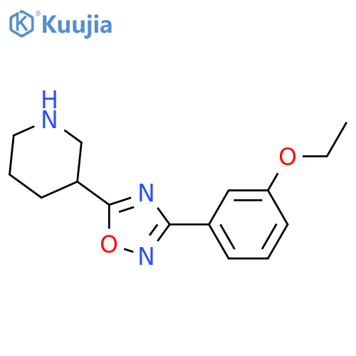 3-[3-(3-Ethoxy-phenyl)-[1,2,4]oxadiazol-5-yl]-piperidine structure