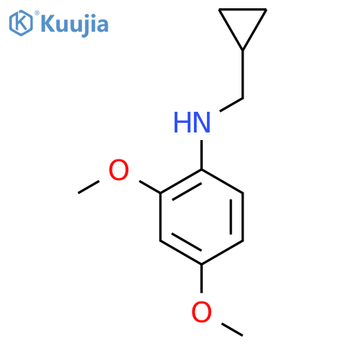 N-(cyclopropylmethyl)-2,4-dimethoxyaniline structure