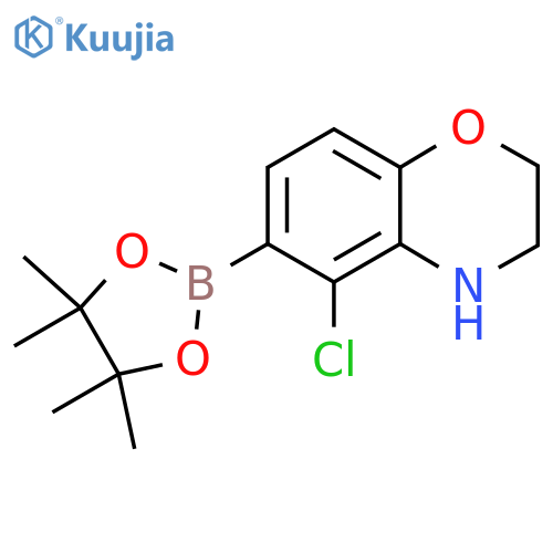 5-chloro-6-(4,4,5,5-tetramethyl-[1,3,2]dioxaborolan-2-yl)-3,4-dihydro-2H-benzo[1,4]oxazine structure