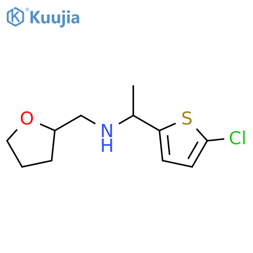 [1-(5-chlorothiophen-2-yl)ethyl][(oxolan-2-yl)methyl]amine structure