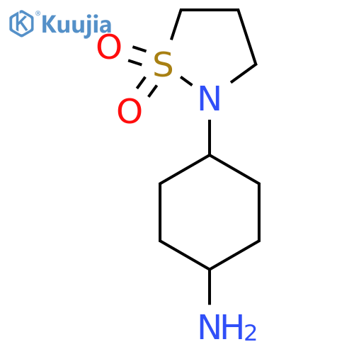 2-(4-aminocyclohexyl)-1λ?,2-thiazolidine-1,1-dione structure
