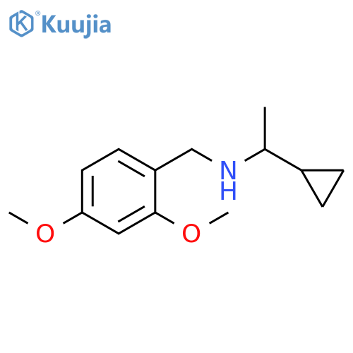 (1-cyclopropylethyl)[(2,4-dimethoxyphenyl)methyl]amine structure