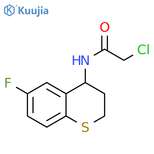 2-Chloro-N-(6-fluoro-3,4-dihydro-2H-1-benzothiopyran-4-yl)acetamide structure