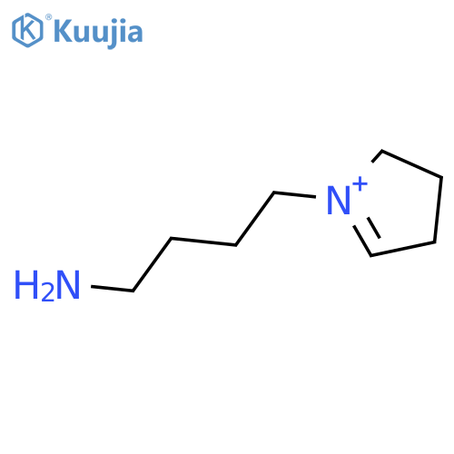 4-(3,4-dihydro-2H-pyrrol-1-ium-1-yl)butan-1-amine structure