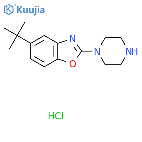 5-tert-Butyl-2-piperazin-1-yl-1,3-benzoxazolehydrochloride structure