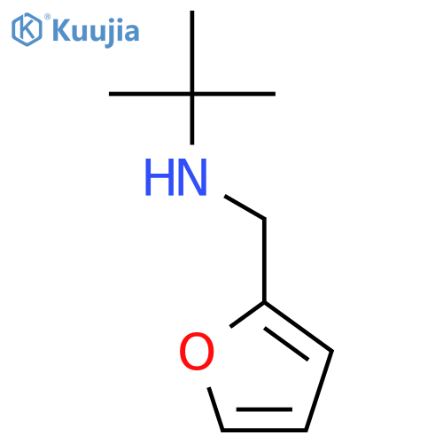 N-(tert-Butyl)-N-(2-furylmethyl)amine structure