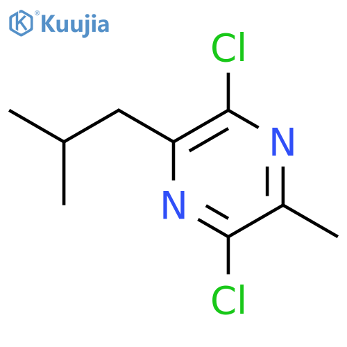Pyrazine, 2,5-dichloro-3-methyl-6-(2-methylpropyl)- structure