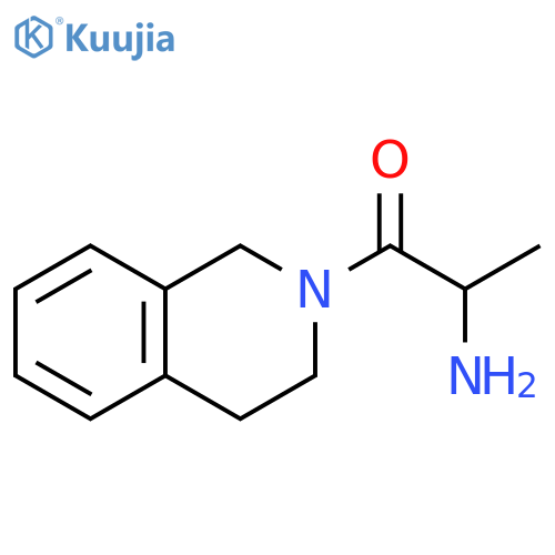 2-amino-1-(1,2,3,4-tetrahydroisoquinolin-2-yl)propan-1-one structure