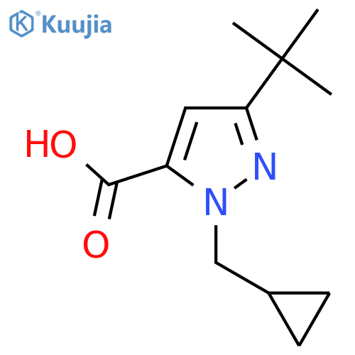 3-tert-butyl-1-(cyclopropylmethyl)-1H-pyrazole-5-carboxylic acid structure