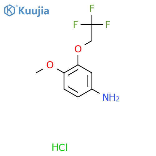 4-Methoxy-3-(2,2,2-trifluoroethoxy)aniline hydrochloride structure
