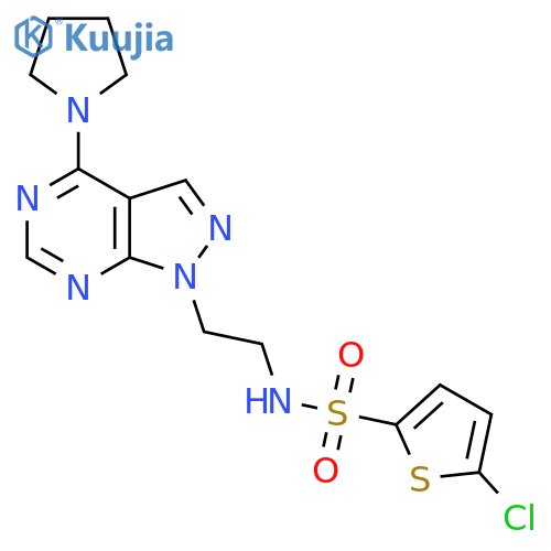 5-chloro-N-{2-4-(pyrrolidin-1-yl)-1H-pyrazolo3,4-dpyrimidin-1-ylethyl}thiophene-2-sulfonamide structure