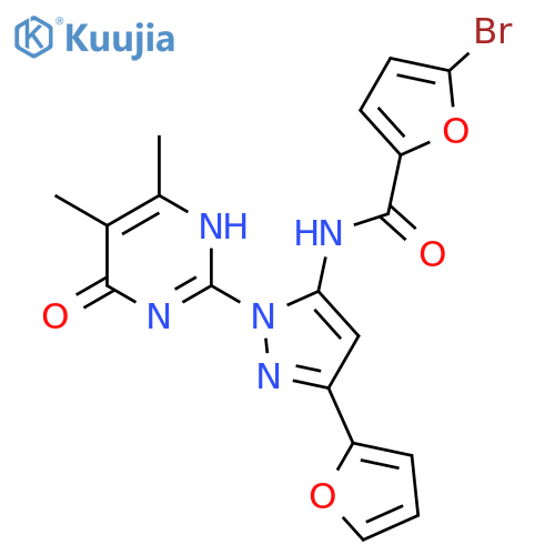 5-bromo-N-1-(4,5-dimethyl-6-oxo-1,6-dihydropyrimidin-2-yl)-3-(furan-2-yl)-1H-pyrazol-5-ylfuran-2-carboxamide structure
