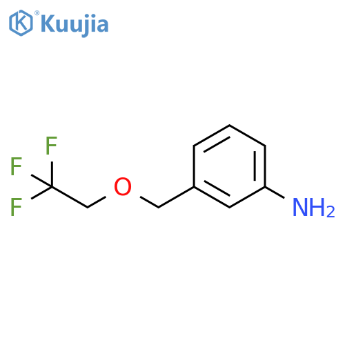 3-(2,2,2-Trifluoroethoxy)methylaniline structure