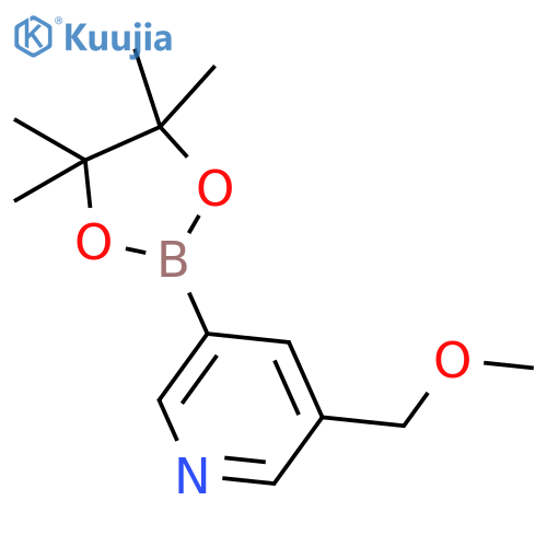 3-(methoxymethyl)-5-(4,4,5,5-tetramethyl-1,3,2-dioxaborolan-2-yl)-Pyridine structure