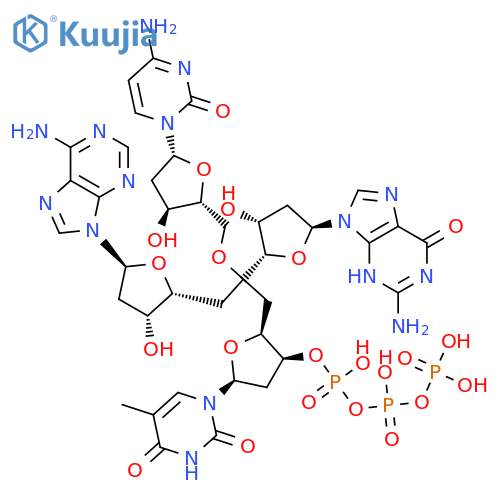 Guanosine,thymidylyl-(3'®5')-2'-deoxyadenylyl-(3'®5')-2'-deoxycytidylyl-(3'®5')-2'-deoxy- (9CI) structure