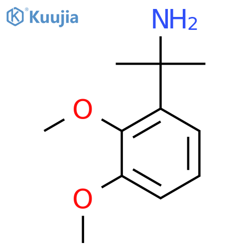 2-(2,3-dimethoxyphenyl)propan-2-amine structure