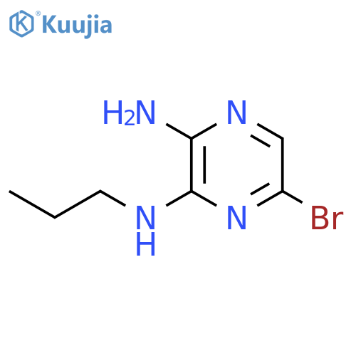 2,3-PYRAZINEDIAMINE, 5-BROMO-N3-PROPYL- structure