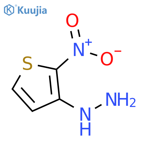 (2-NITROTHIOPHEN-3-YL)HYDRAZINE structure